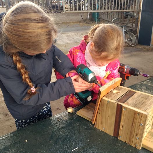 Kinderen maken vogelhuisjes