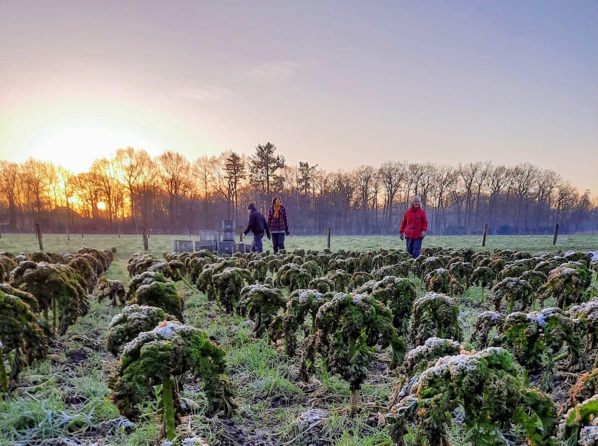 nieuwsbrief foto
