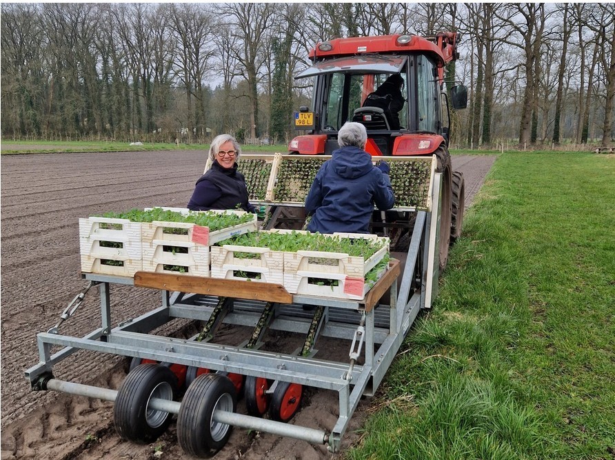 Laposta lente op de boerderij