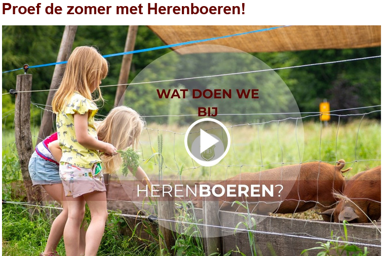HBNL zomernieuwsbrief